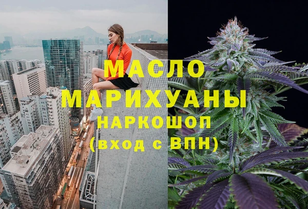 молекула духа Чердынь